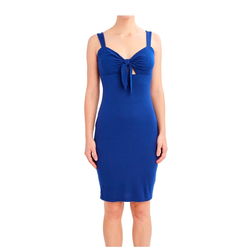 BCBG Paris Blue Bodycon Dress